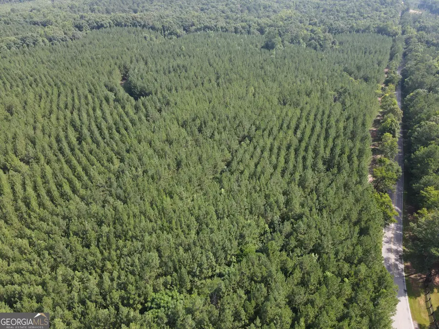 0 Lower Harmony Rd Lot 2, Eatonton, GA 31024 - #2