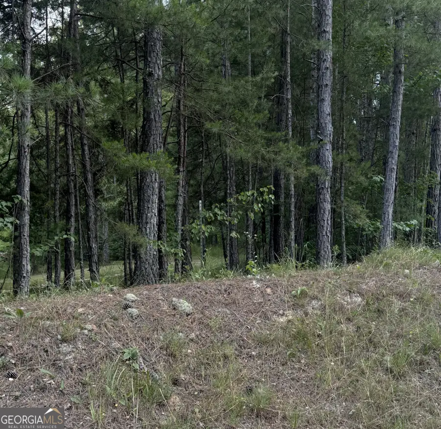 0 Co Rd 61, Fruithurst, AL 36262 - #3
