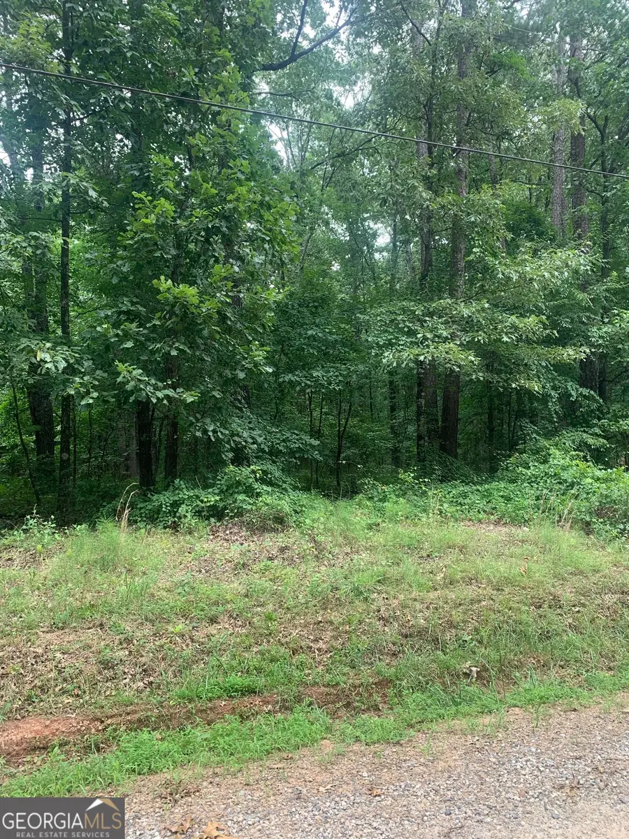 5.008 AC Digby Road #TRACT II, Covington, GA 30014 - #3