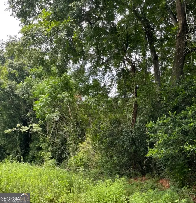 0 Perkins Road, Barnesville, GA 30204 - #1
