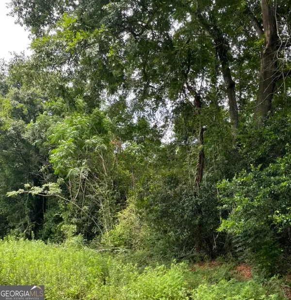0 Perkins Road, Barnesville, GA 30204