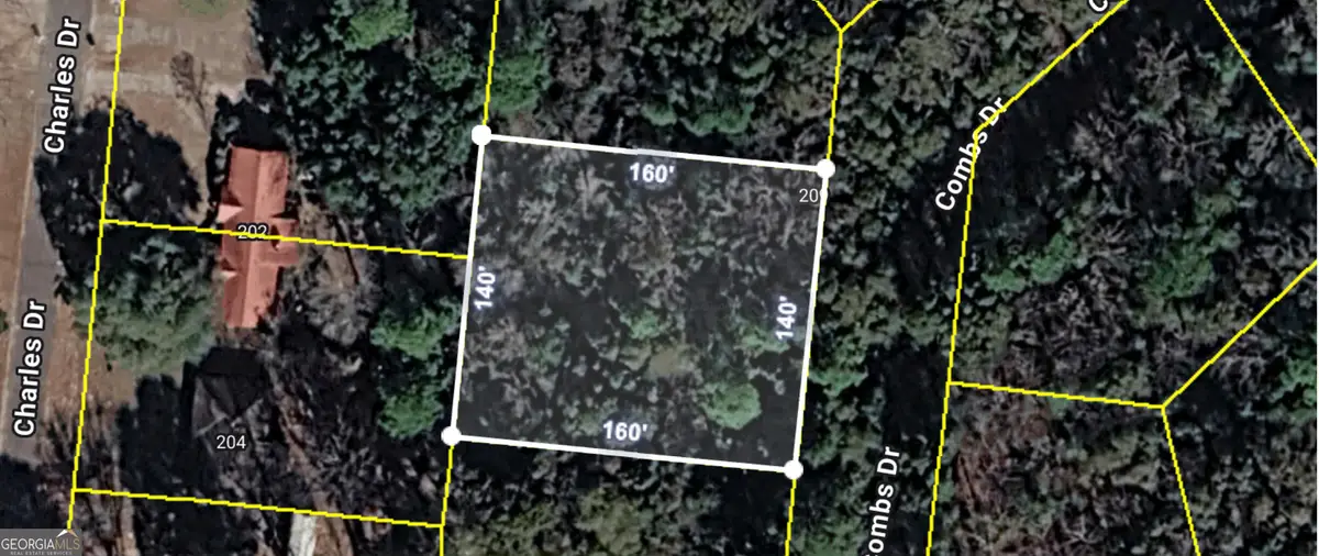 205 Combs Drive, Montezuma, GA 31063 - #1