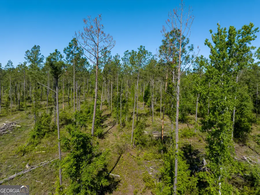 0 Knights Academy Road, Valdosta, GA 31605 - #2