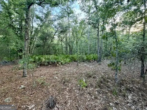 1208 Hillside, Claxton, GA 30417
