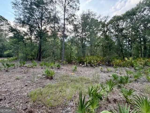 1208 Hillside, Claxton, GA 30417 - #2