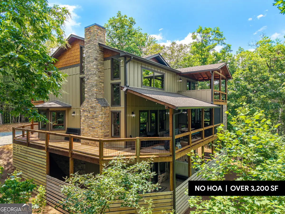 4687 Murphy Highway, Mineral Bluff, GA 30559 - #1