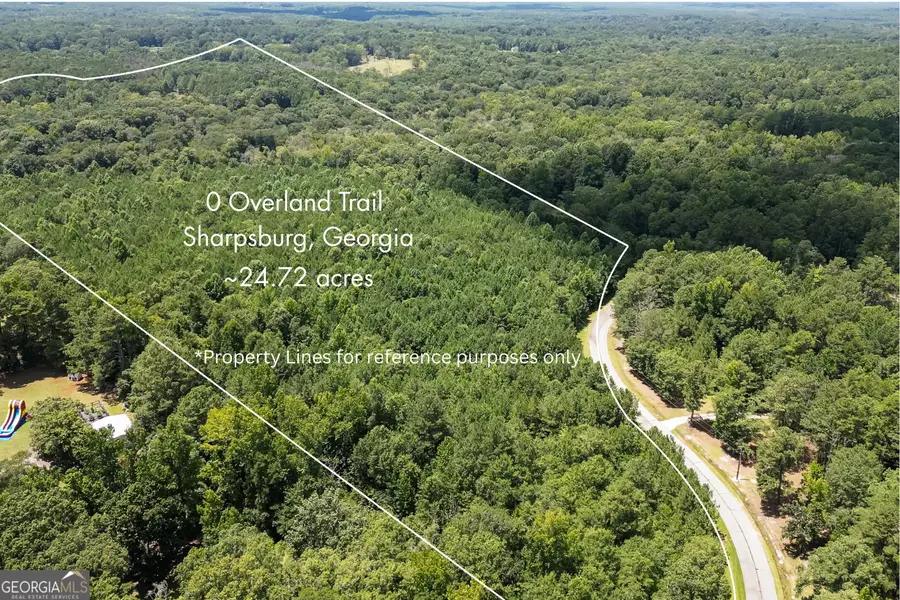 0 Overland Trail, Sharpsburg, GA 30277 - #2