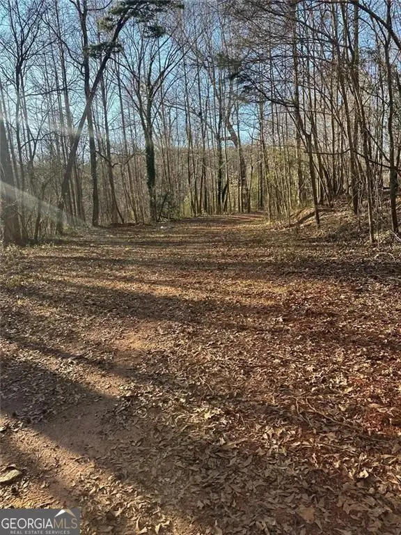 0 Collier Street Sw, Covington, GA 30014 - #3