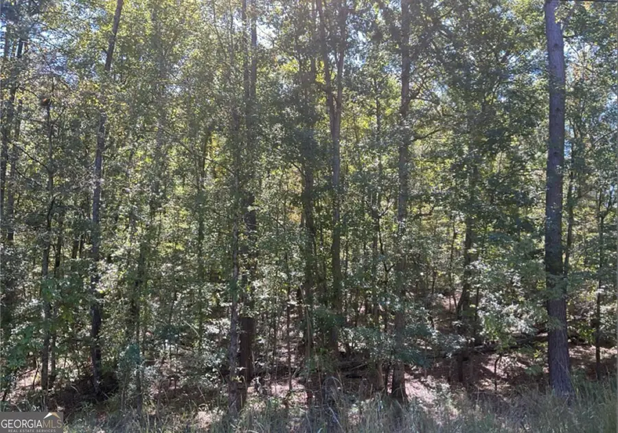 LOT 160 Amaryllis Drive, Sparta, GA 31087 - #2