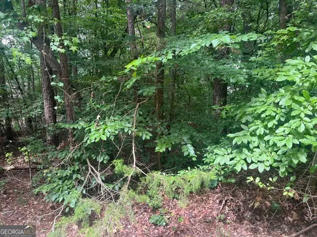 137 Tulip Lane, Westminster, SC 29693 - #2