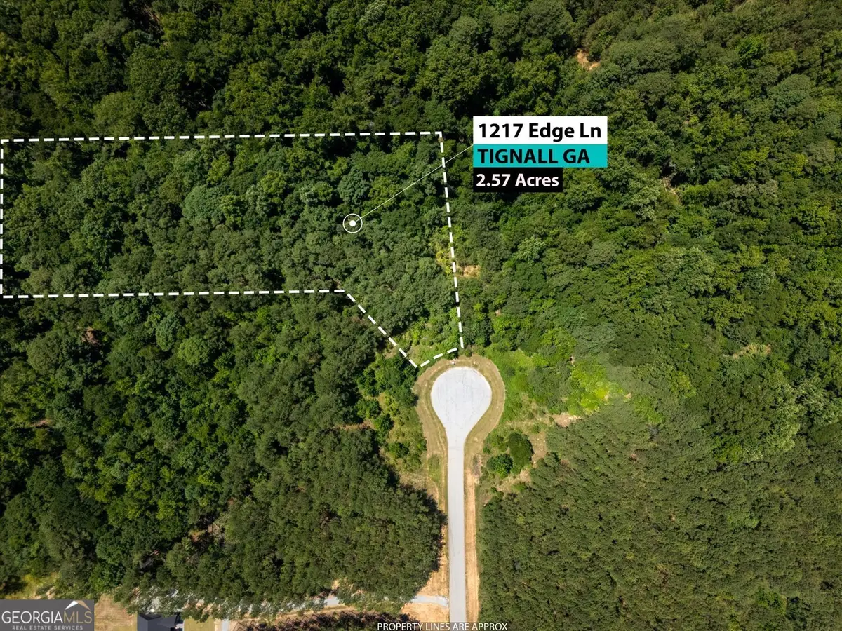 1217 Edge Lane, Tignall, GA 30668 - #1