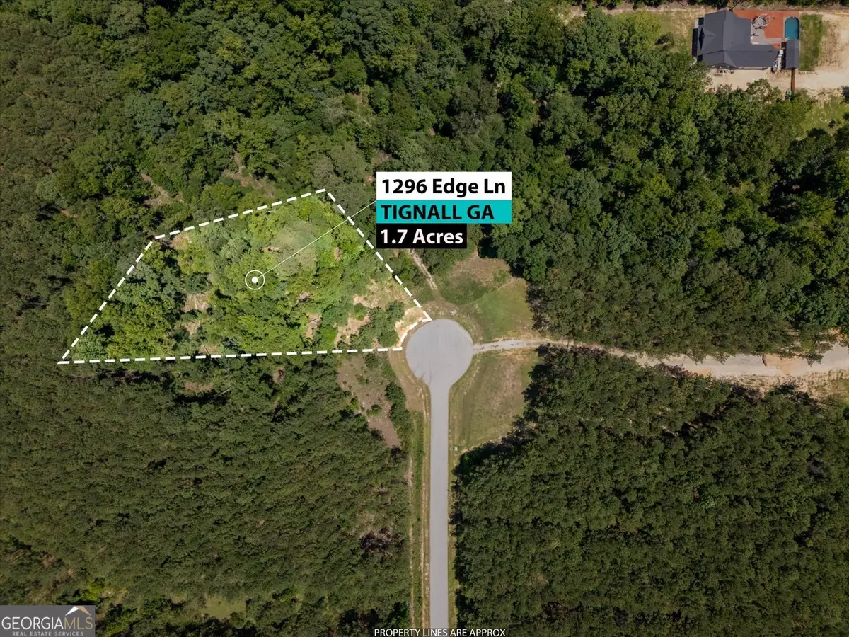 1296 Edge Lane, Tignall, GA 30668 - #1