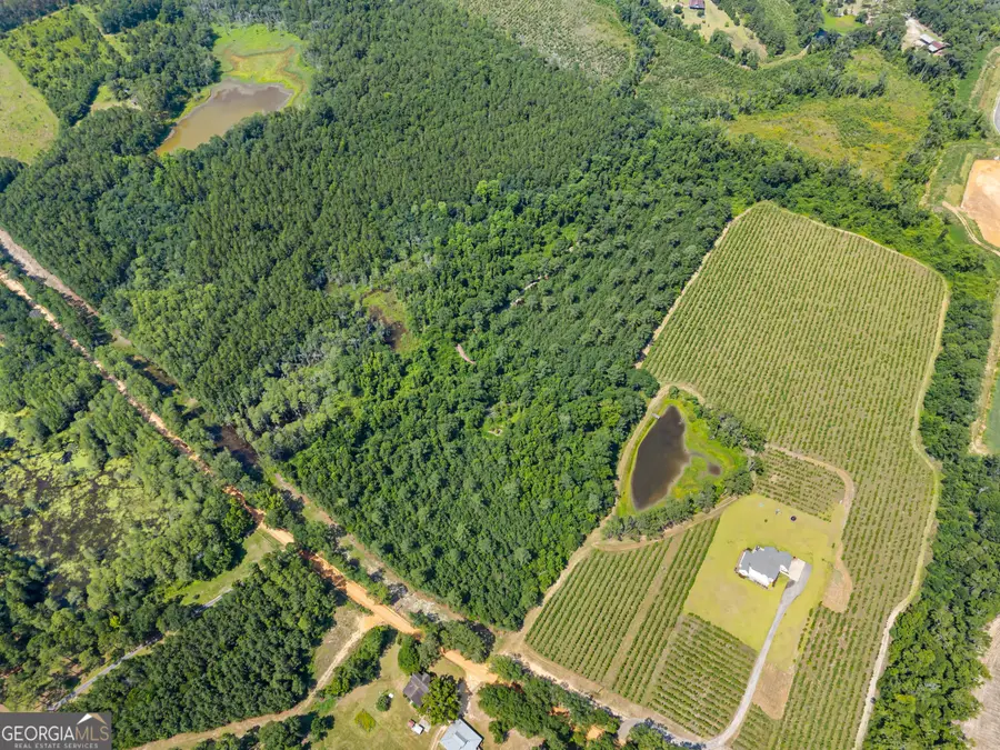 0 Jo Dan Road, Register, GA 30452 - #3