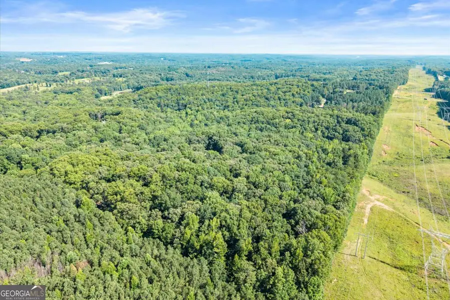 342 Woodland Path, Dallas, GA 30132 - #3