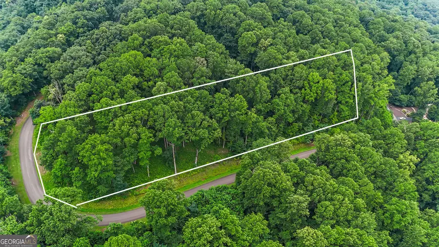 LT 296 Andes Ridge, Ellijay, GA 30536 - #2