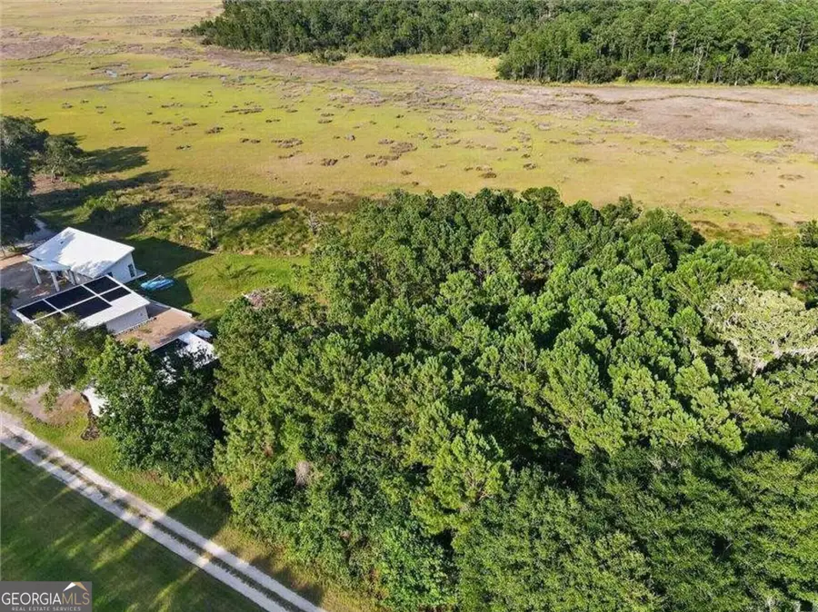 LOT #23 Barnstorm Road Ne, Townsend, GA 31331 - #2