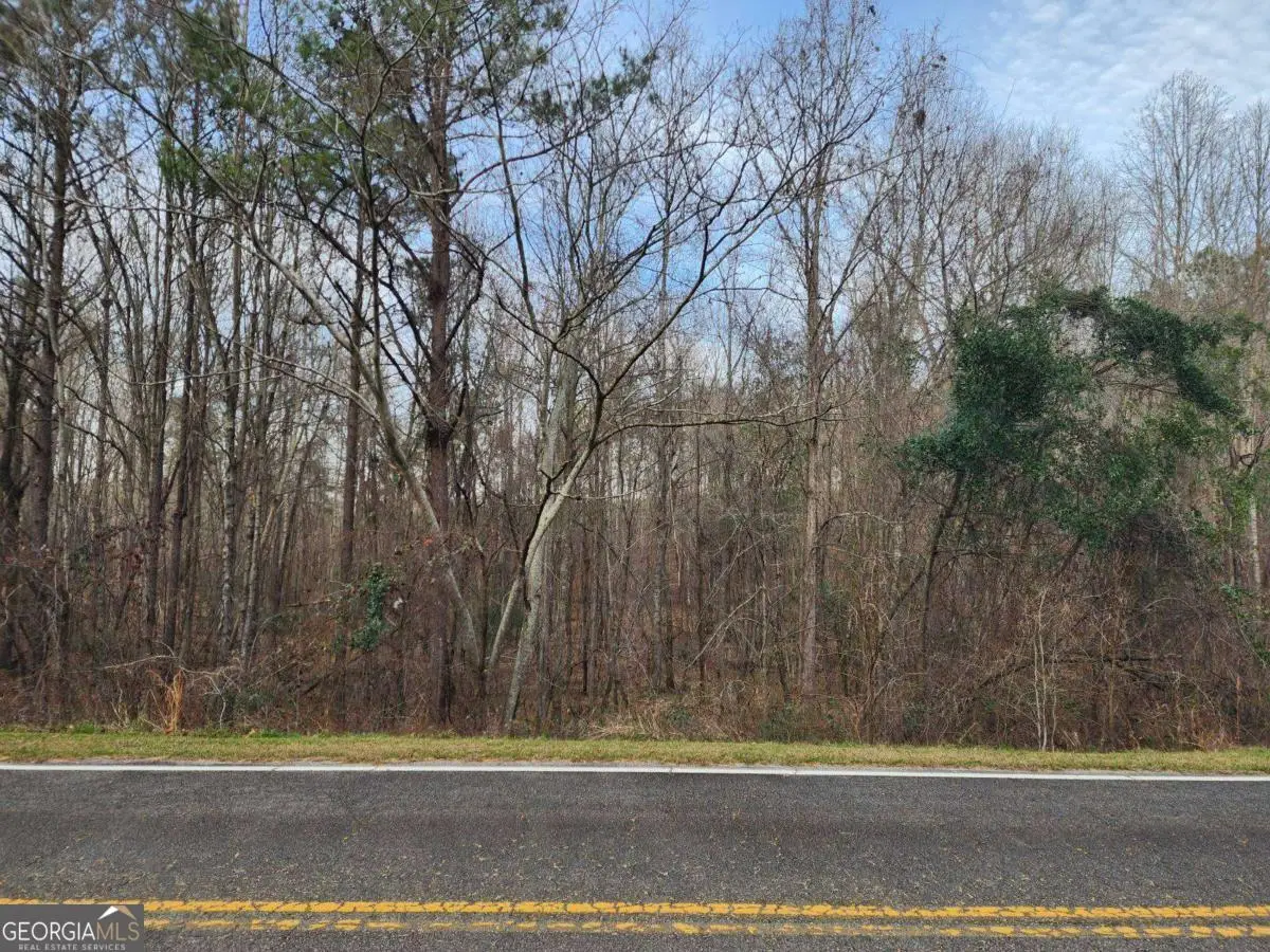 0 U S Highway 80 E, Knoxville, GA 31050 - #1