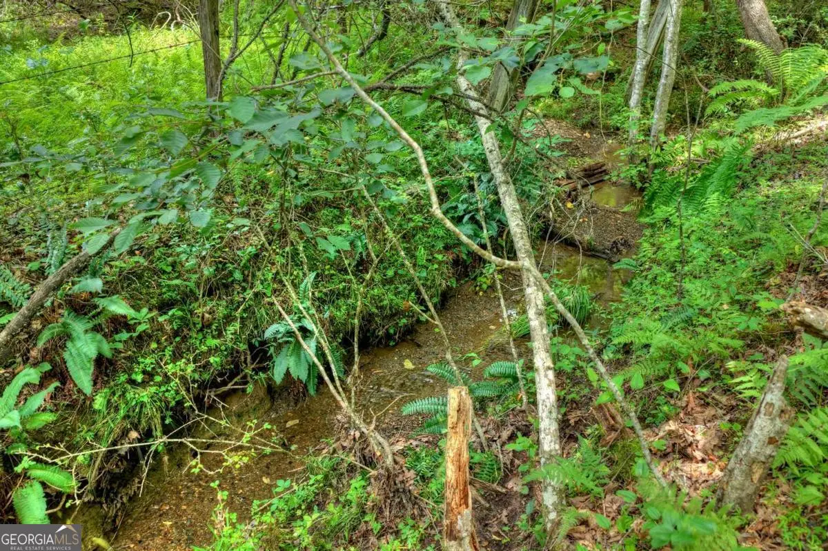 0 Scots Glen Road, Mineral Bluff, GA 30559 - #1