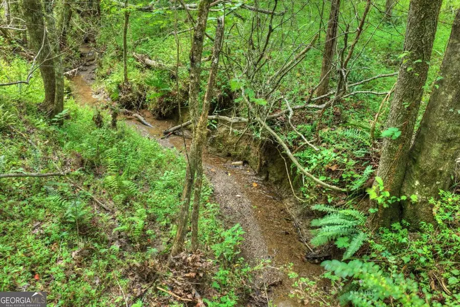 0 Scots Glen Road, Mineral Bluff, GA 30559 - #3