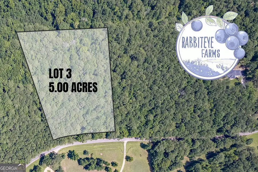 LOT 3 Haynes Road, Moreland, GA 30259 - #2