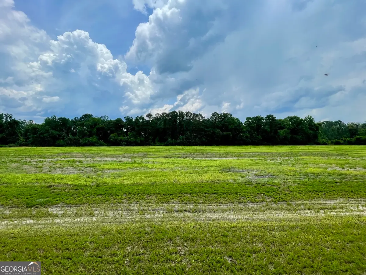 84 Weller's Way, Brooklet, GA 30415 - #1