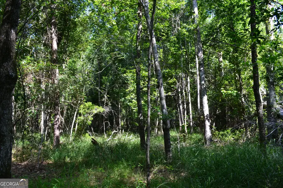 BISHOP Canoochee Road, Midville, GA 30441 - #3