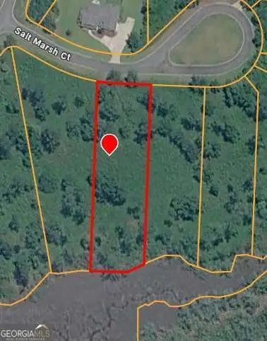 26 Salt Marsh Court, Brunswick, GA 31523