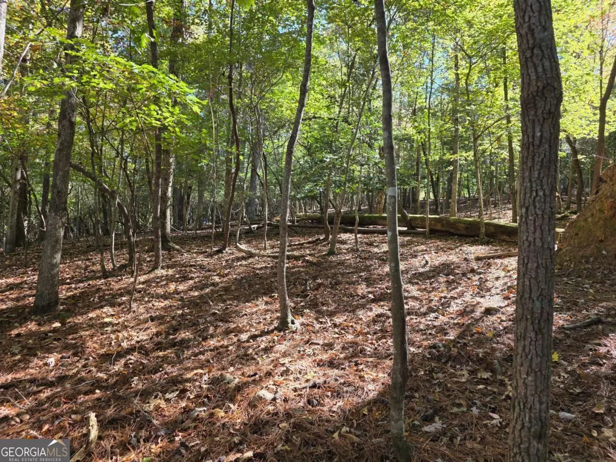 LOT #385 Zenith Trail #385, Ellijay, GA 30540 - #1