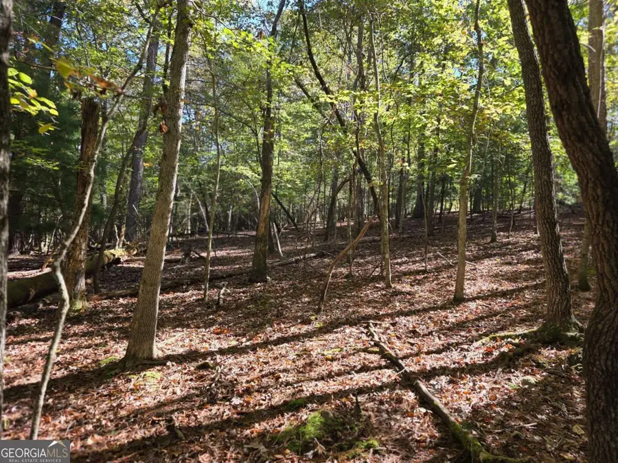LOT #385 Zenith Trail #385, Ellijay, GA 30540 - #2
