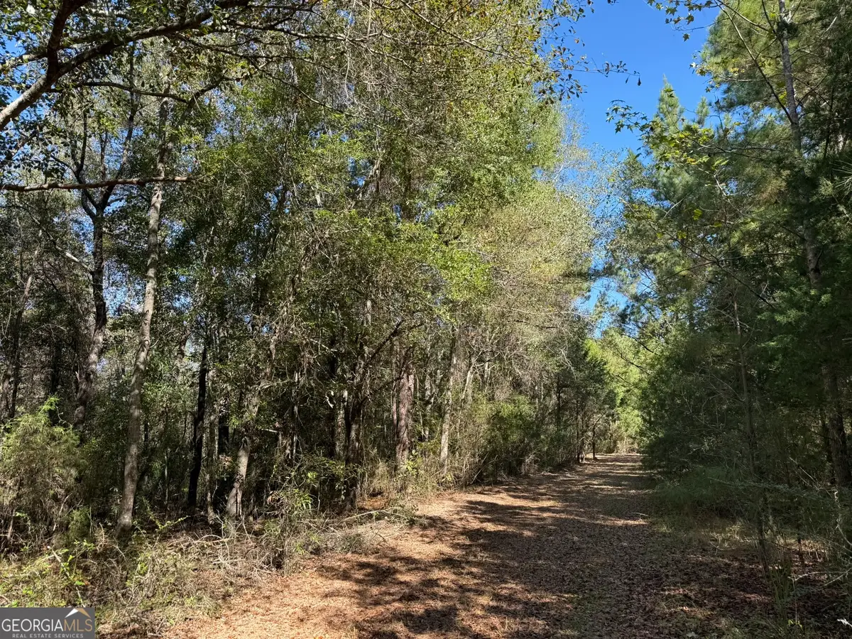 005G Wallace Buie Road, Webb, AL 36376 - #1