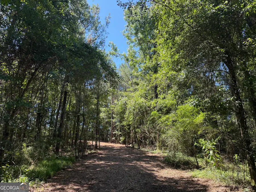 005G Wallace Buie Road, Webb, AL 36376 - #3