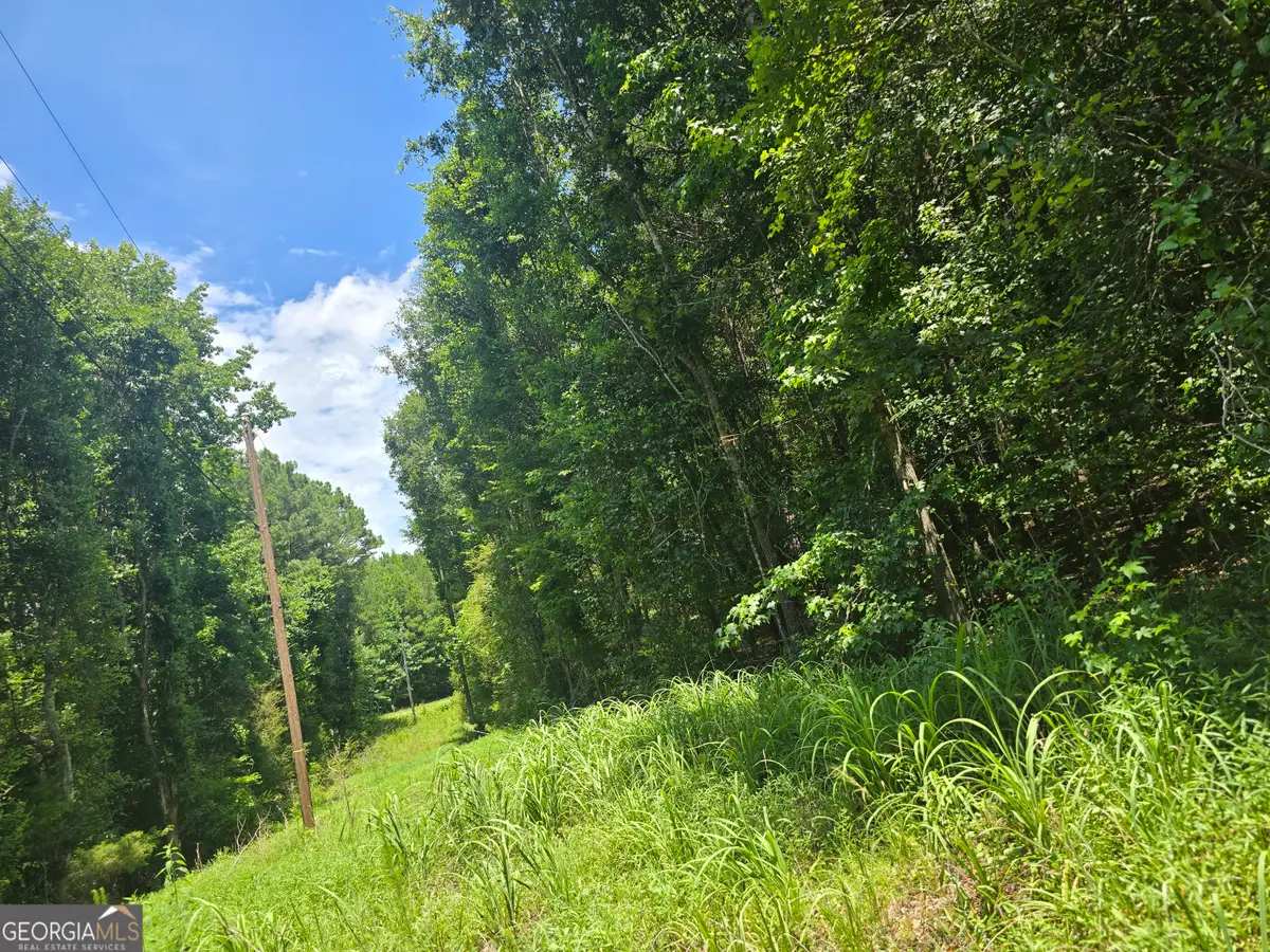 0 Potash Road, Cedartown, GA 30125 - #1
