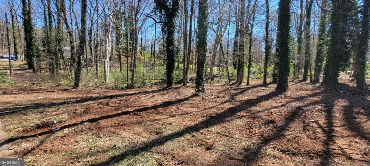 6157 Cardinal Way, Douglasville, GA 30135 - #1
