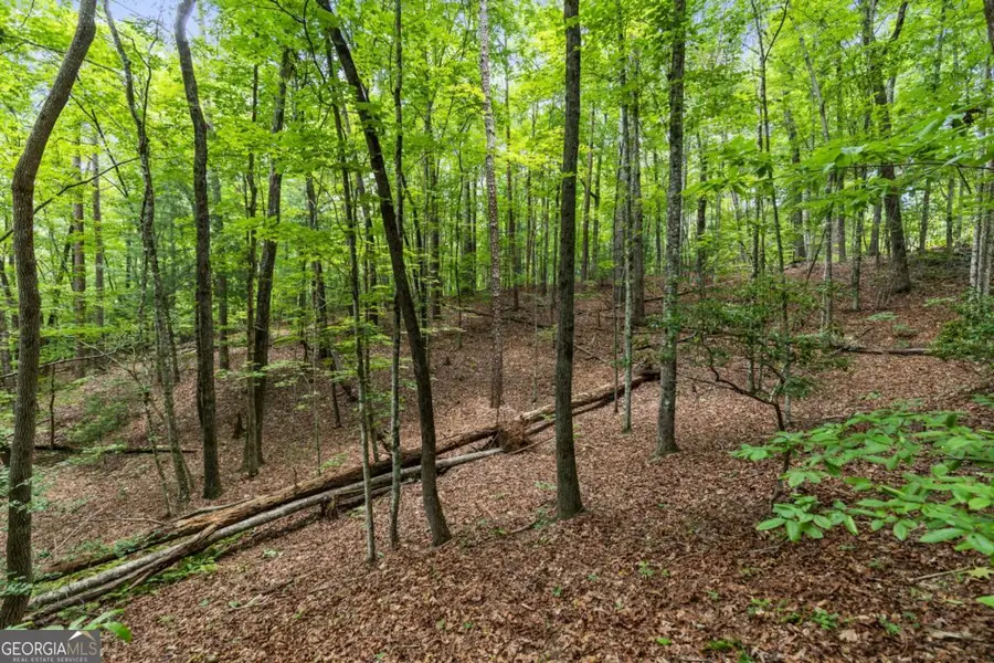 0 Crawford Road #5, McCaysville, GA 30555 - #2