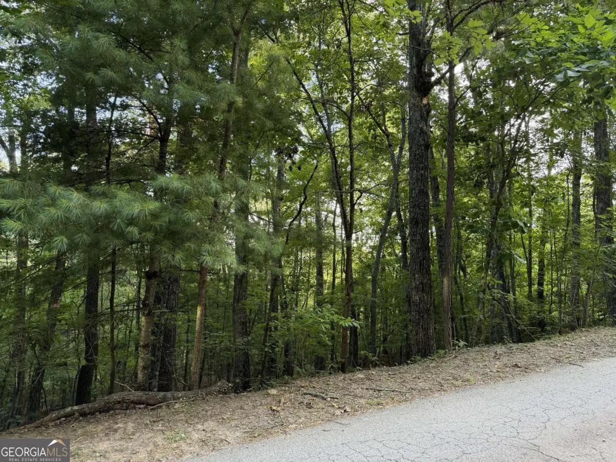 LOT 46 Fox Run Drive #46, Blue Ridge, GA 30513 - #1