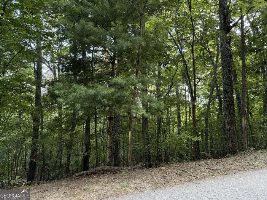 LOT 46 Fox Run Drive #46, Blue Ridge, GA 30513 - #2