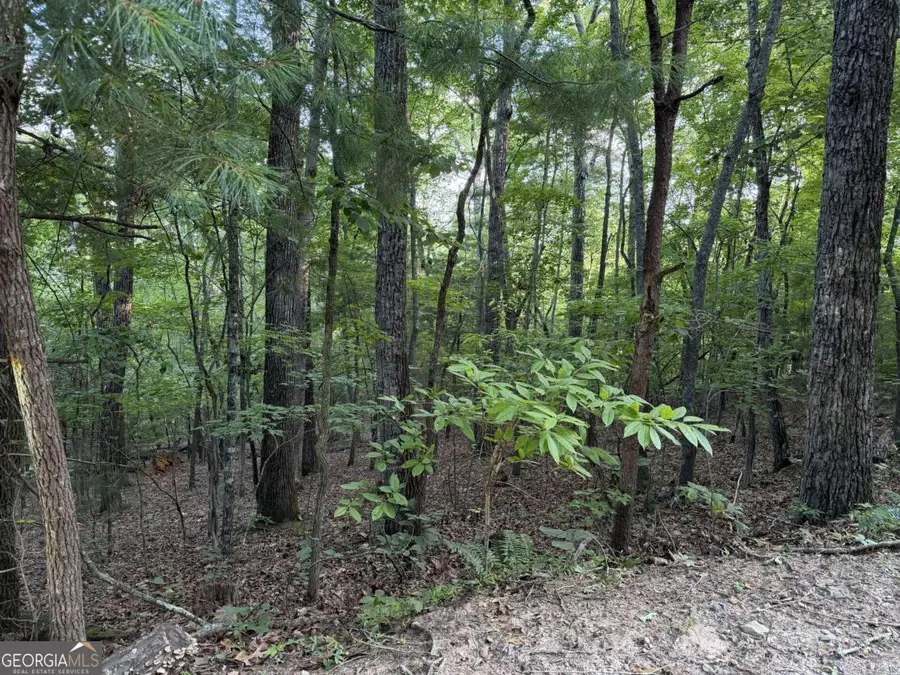 LOT 46 Fox Run Drive #46, Blue Ridge, GA 30513 - #3
