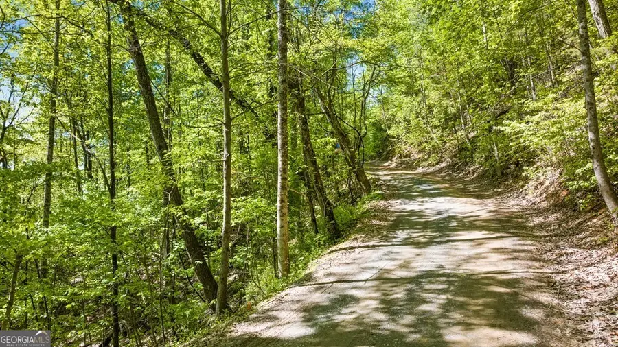 LOT 18 Cub Trail, Cherry Log, GA 30522 - #3