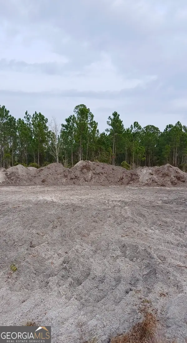 0 (LOT 8) Dogwood Lane, Folkston, GA 31537