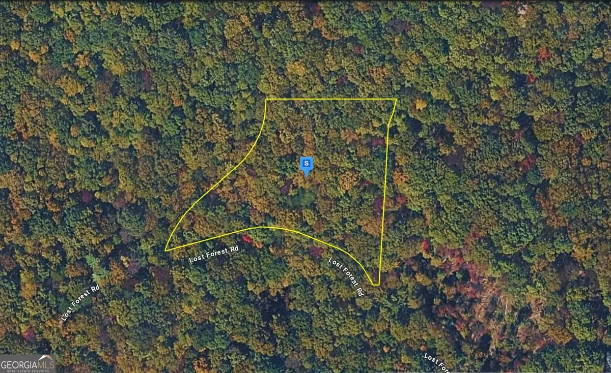935 Lost Forest Rd, Ellijay, GA 30536 - #1