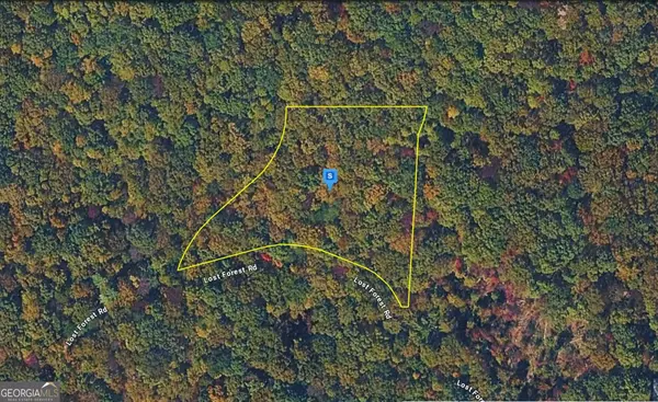 935 Lost Forest Rd, Ellijay, GA 30536