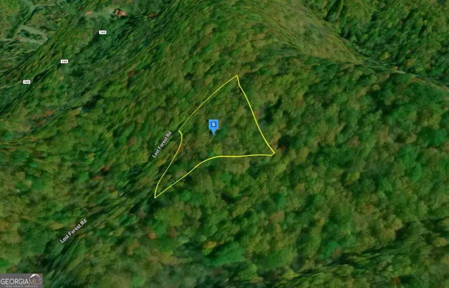 935 Lost Forest Rd, Ellijay, GA 30536 - #2