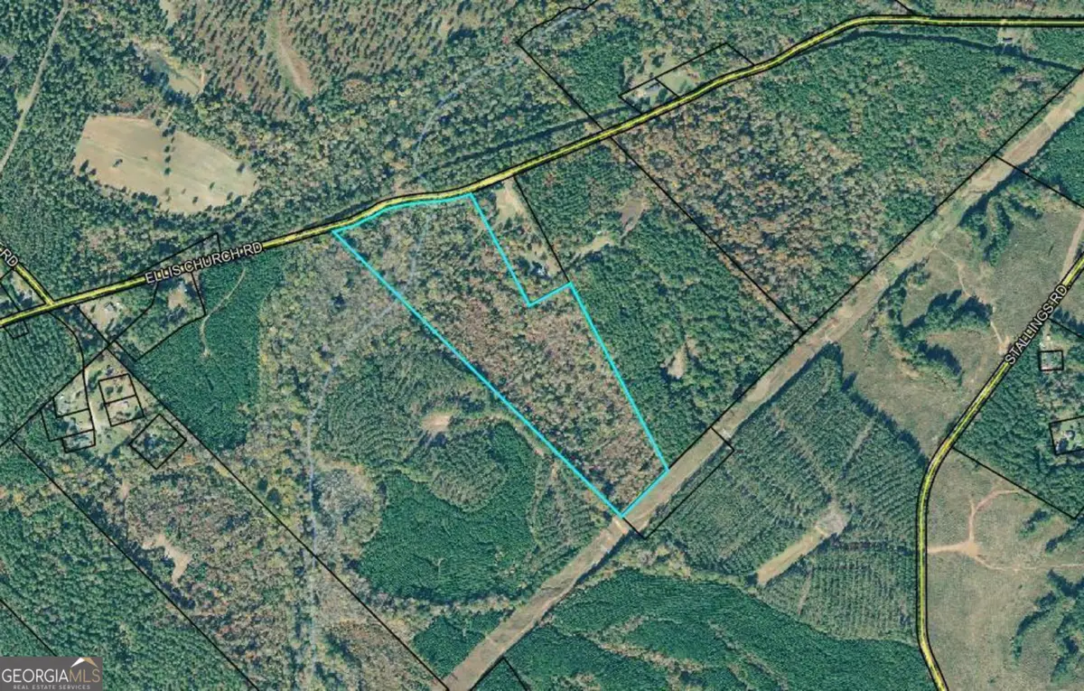 0 Ellis Church Road, Haddock, GA 31033 - #1