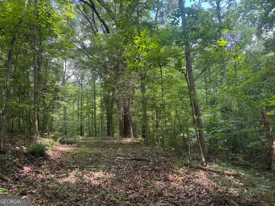 0 Hickey Road, Franklin, GA 30217 - #2
