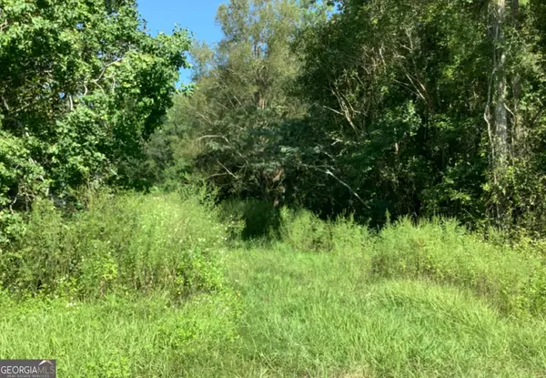 0 Burnt Fort Road, White Oak, GA 31568