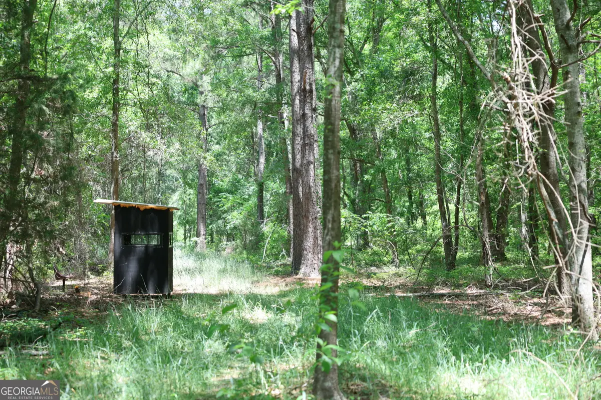 2239 Brady Road, De Soto, GA 31743 - #1