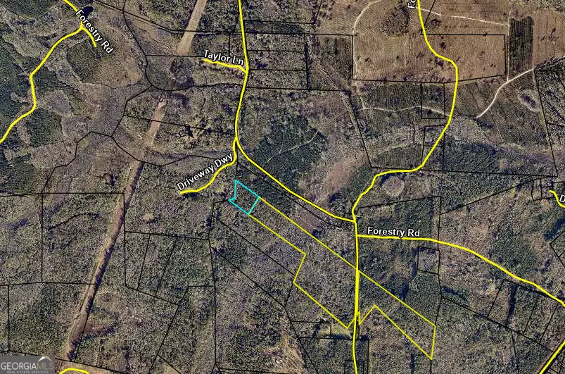 0 Burnt Fort #V/L NW/S, Folkston, GA 31537 - #1