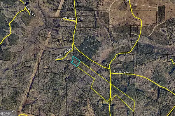 0 Burnt Fort #V/L NW/S, Folkston, GA 31537