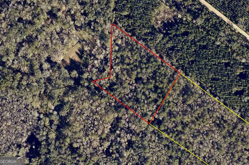 0 Burnt Fort #V/L NW/S, Folkston, GA 31537 - #3