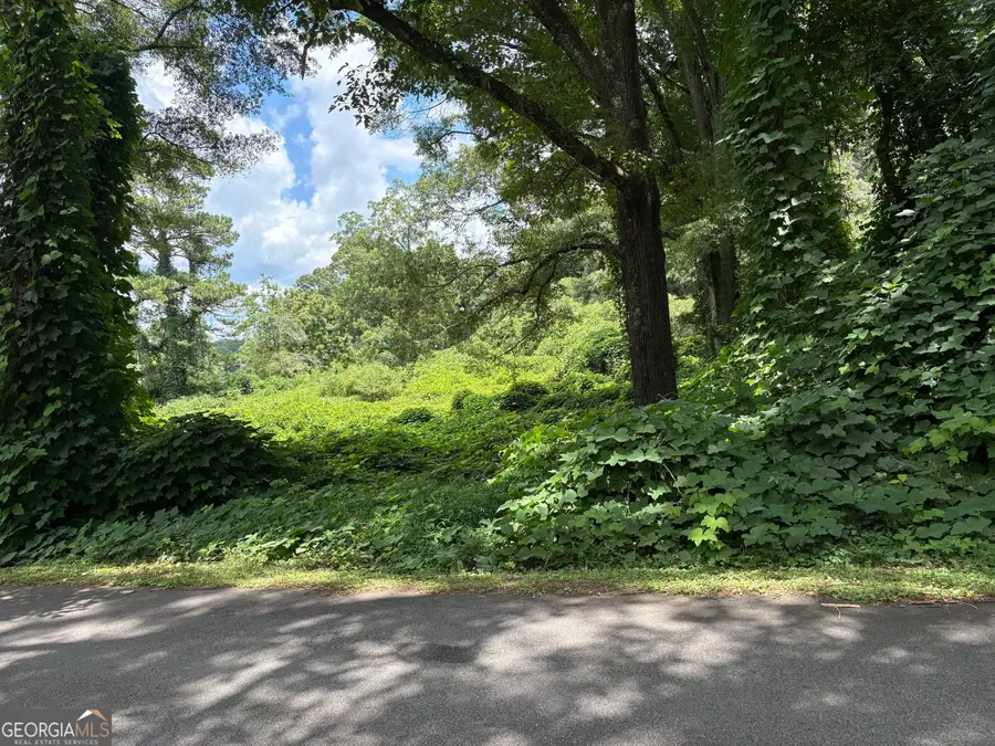 0 Pine Street, Hogansville, GA 30230 - #2